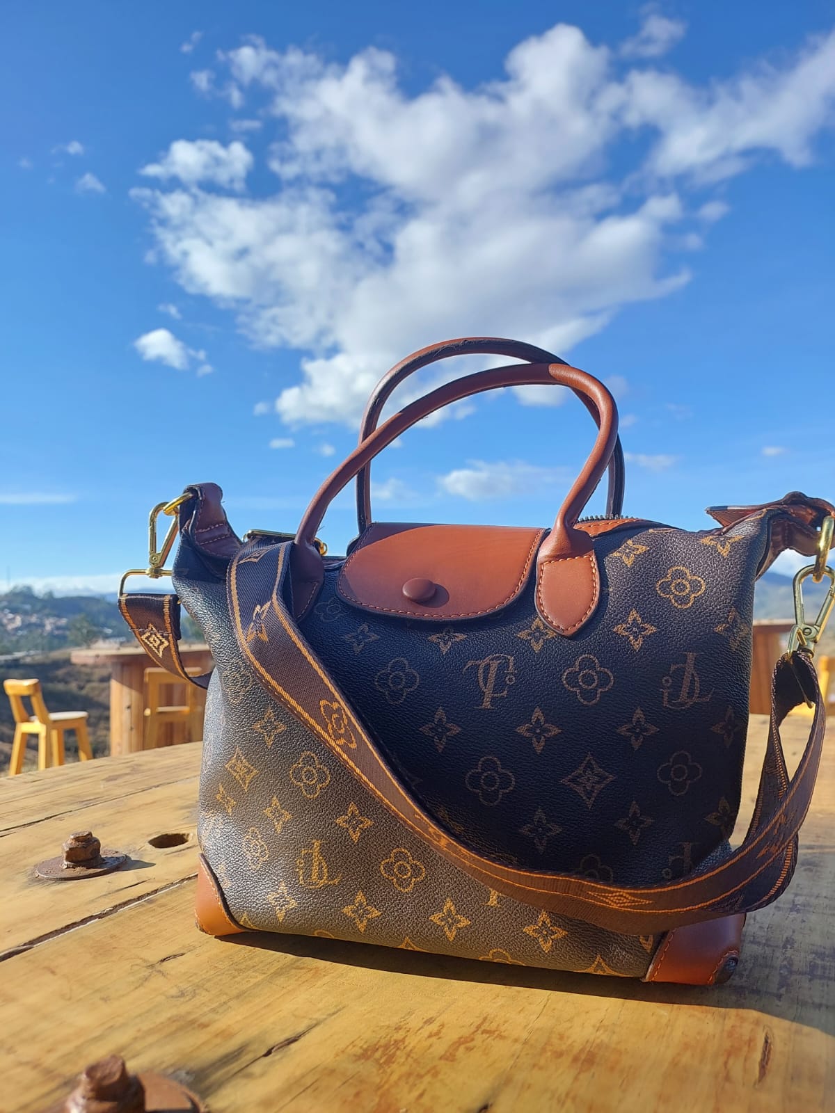 Carteras Modernas y Elegantes